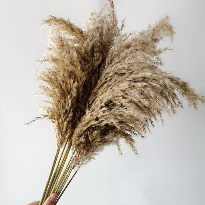 60 cm naturlig, ægte, brun-beige tørret pampasgræs buket │ fluffy fjer til moderne boho hjemmeindretning