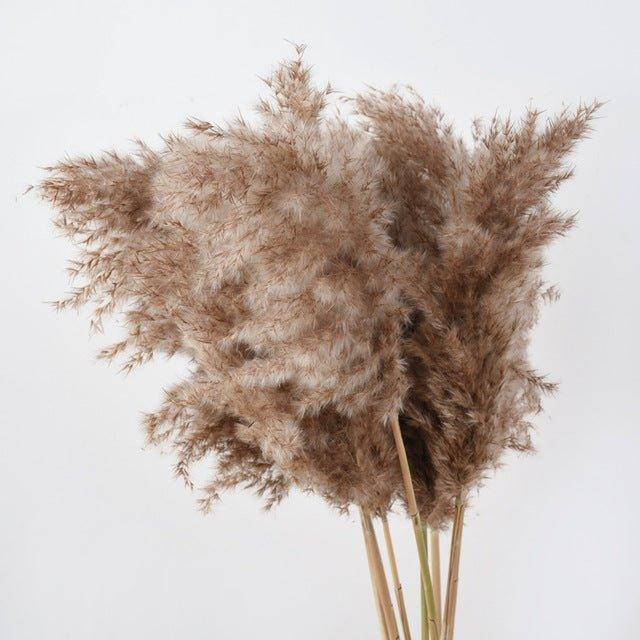 60 cm naturlig, ægte, brun-beige tørret pampasgræs buket │ fluffy fjer til moderne boho hjemmeindretning