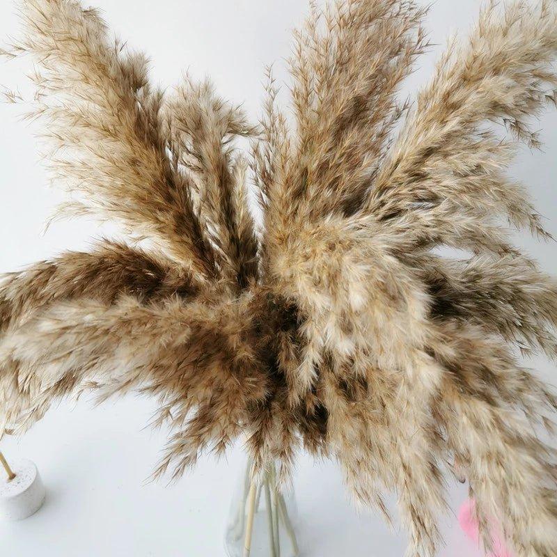 60 cm naturlig, ægte, brun-beige tørret pampasgræs buket │ fluffy fjer til moderne boho hjemmeindretning