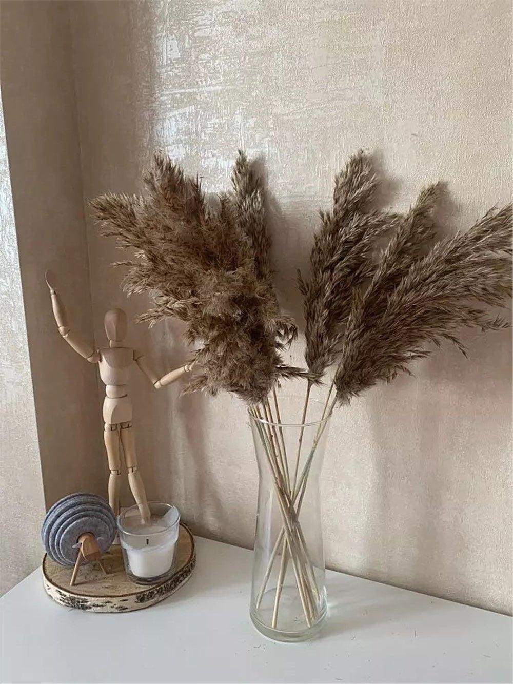 60 cm naturlig, ægte, brun-beige tørret pampasgræs buket │ fluffy fjer til moderne boho hjemmeindretning