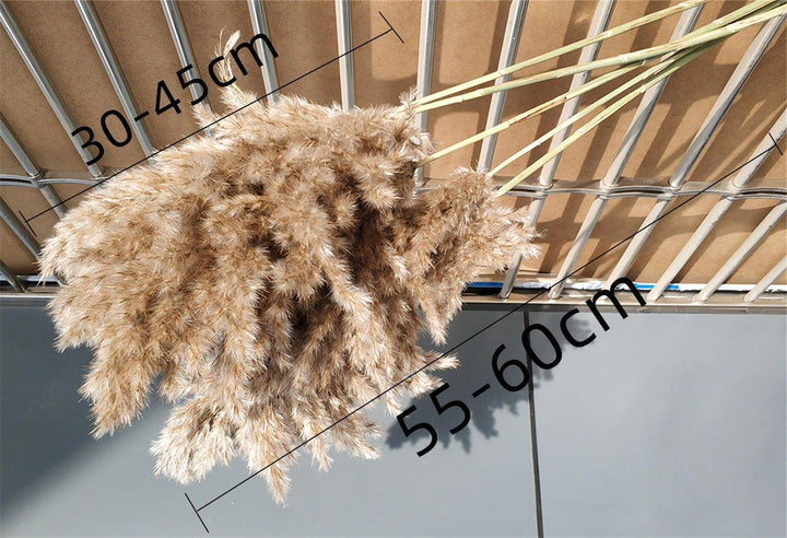 60 cm naturlig, ægte, brun-beige tørret pampasgræs buket │ fluffy fjer til moderne boho hjemmeindretning