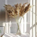 60 cm naturlig, ægte, brun-beige tørret pampasgræs buket │ fluffy fjer til moderne boho hjemmeindretning