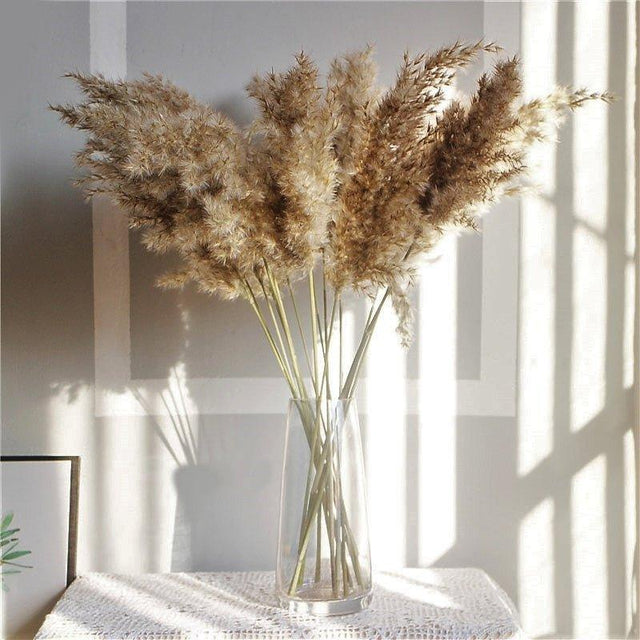 60 cm naturlig, ægte, brun-beige tørret pampasgræs buket │ fluffy fjer til moderne boho hjemmeindretning