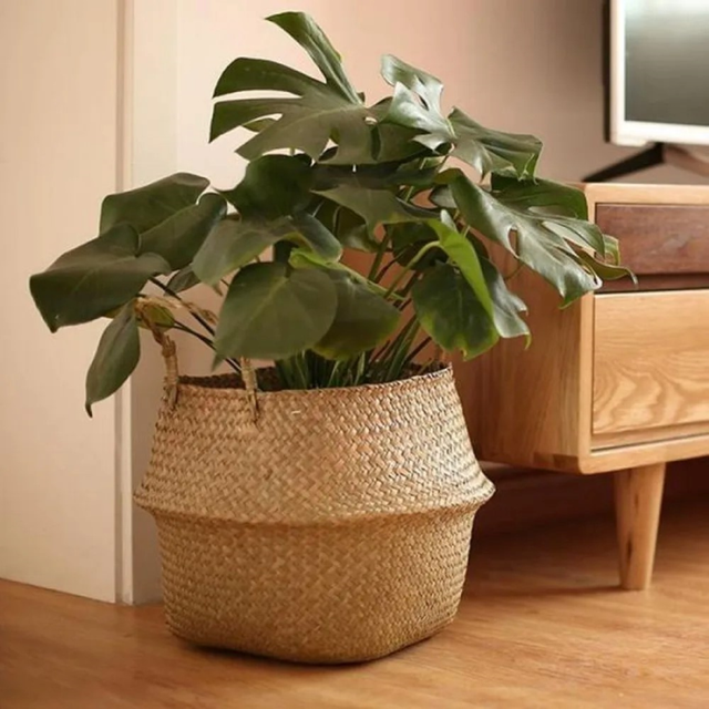 Rattan Planteholder