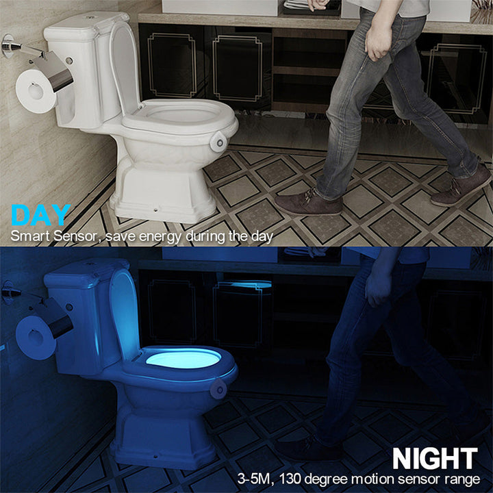 LED Induktions Toilet Natlys