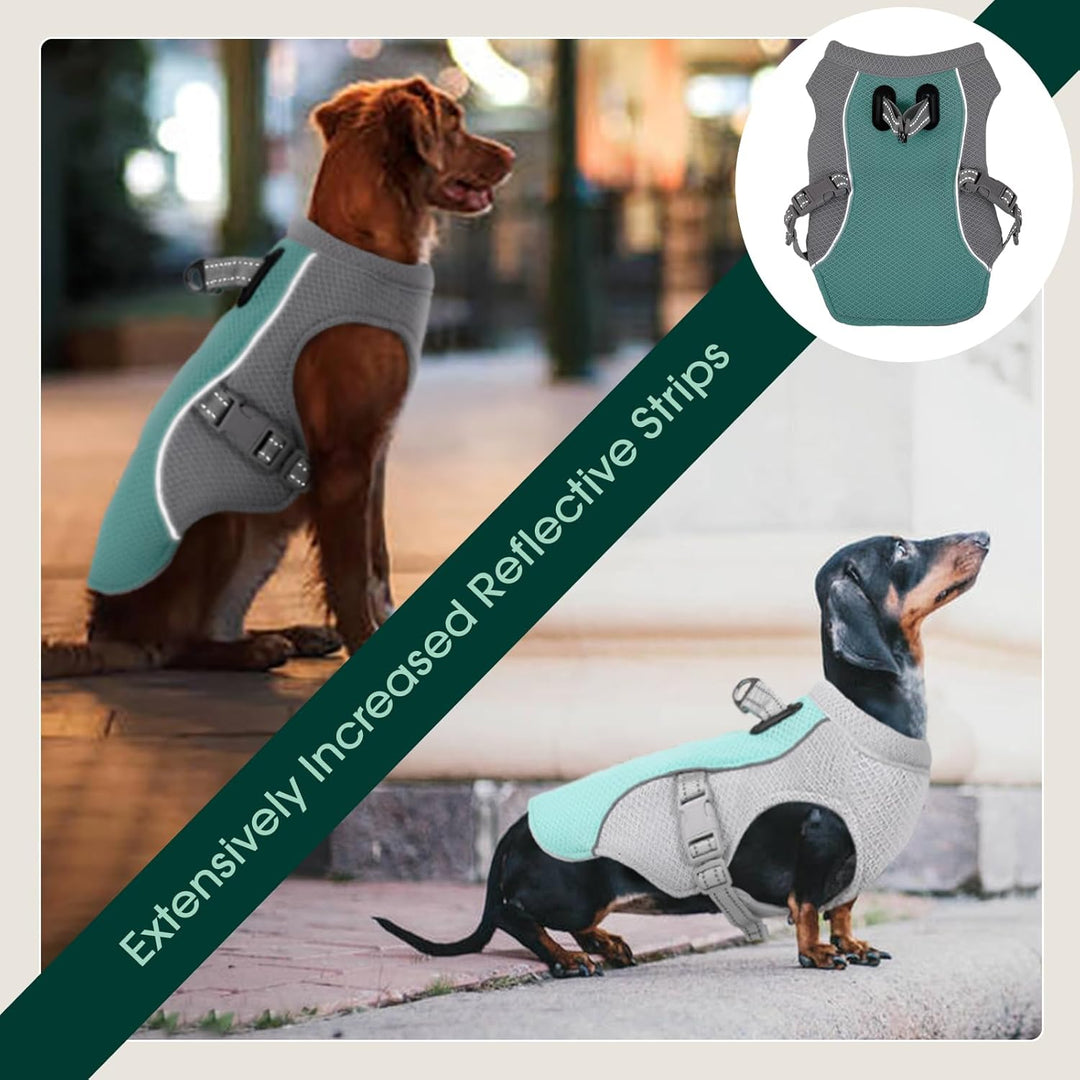 Sommer Reflekterende Hundekølevest &amp; Hurtig-Udslip Sele