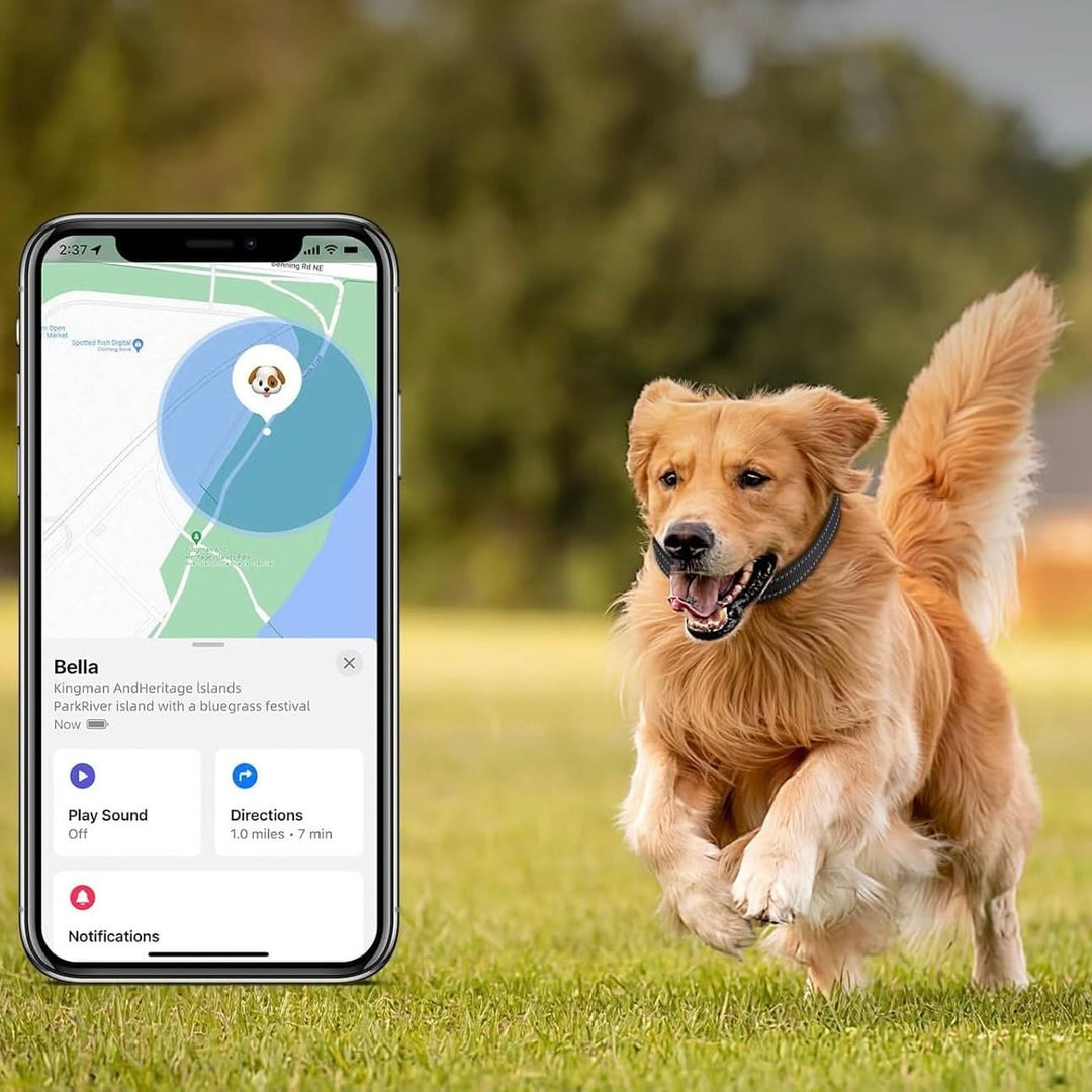 LEAZO - AirTag Hundehalsbånd