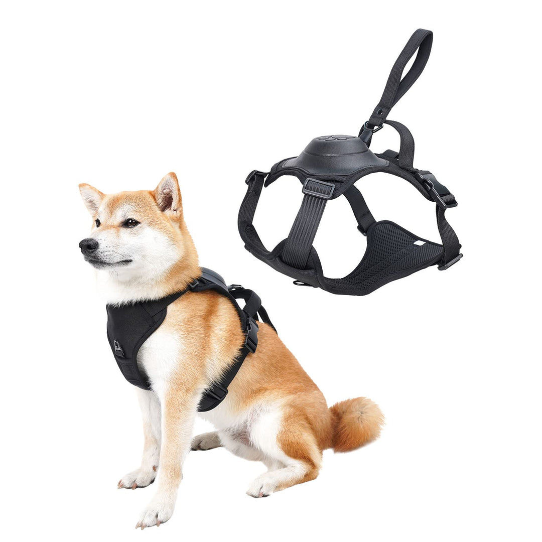 mamymarket™ - Hundesele og Sammenklappelig Snor Sæt Alt-i-Én