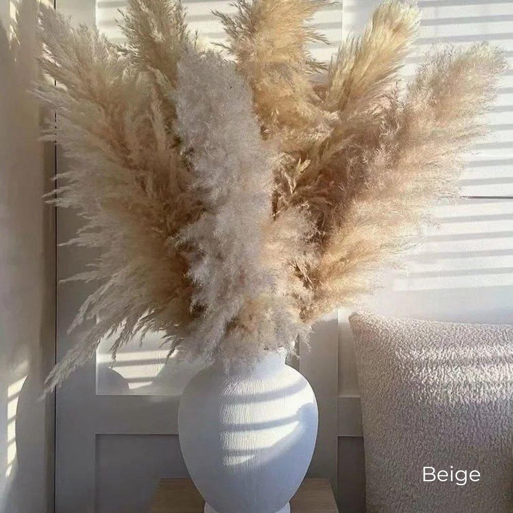 80 cm naturlig, ægte tørret pampasgræs buket (hvid / beige / grå) │ fluffy fjer til moderne boho boligindretning