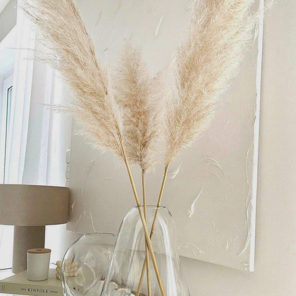 80 cm naturlig, ægte tørret pampasgræs buket (hvid / beige / grå) │ fluffy fjer til moderne boho boligindretning