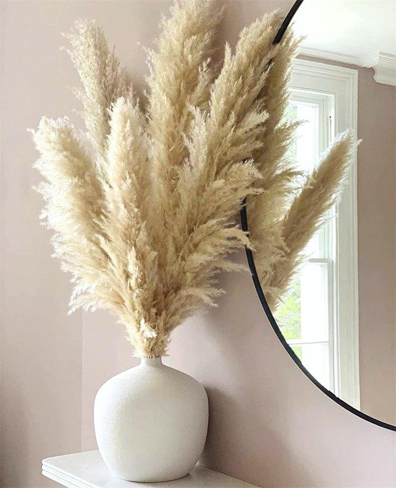 80 cm naturlig, ægte tørret pampasgræs buket (hvid / beige / grå) │ fluffy fjer til moderne boho boligindretning