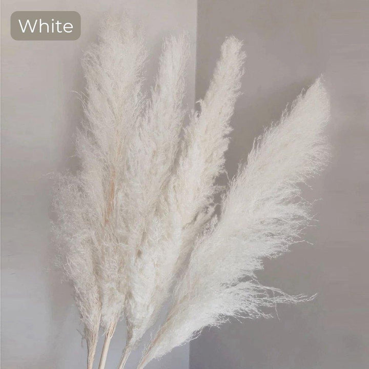 80 cm naturlig, ægte tørret pampasgræs buket (hvid / beige / grå) │ fluffy fjer til moderne boho boligindretning