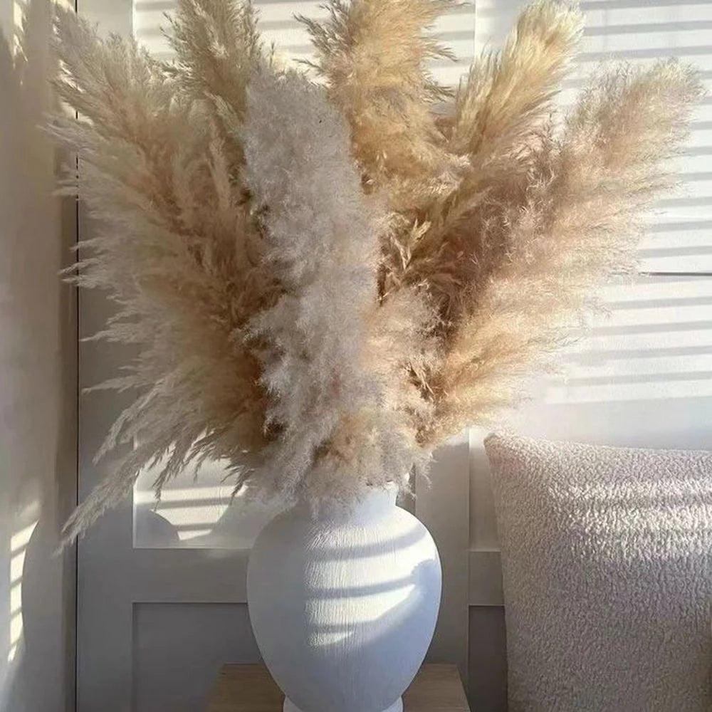80 cm naturlig, ægte tørret pampasgræs buket (hvid / beige / grå) │ fluffy fjer til moderne boho boligindretning