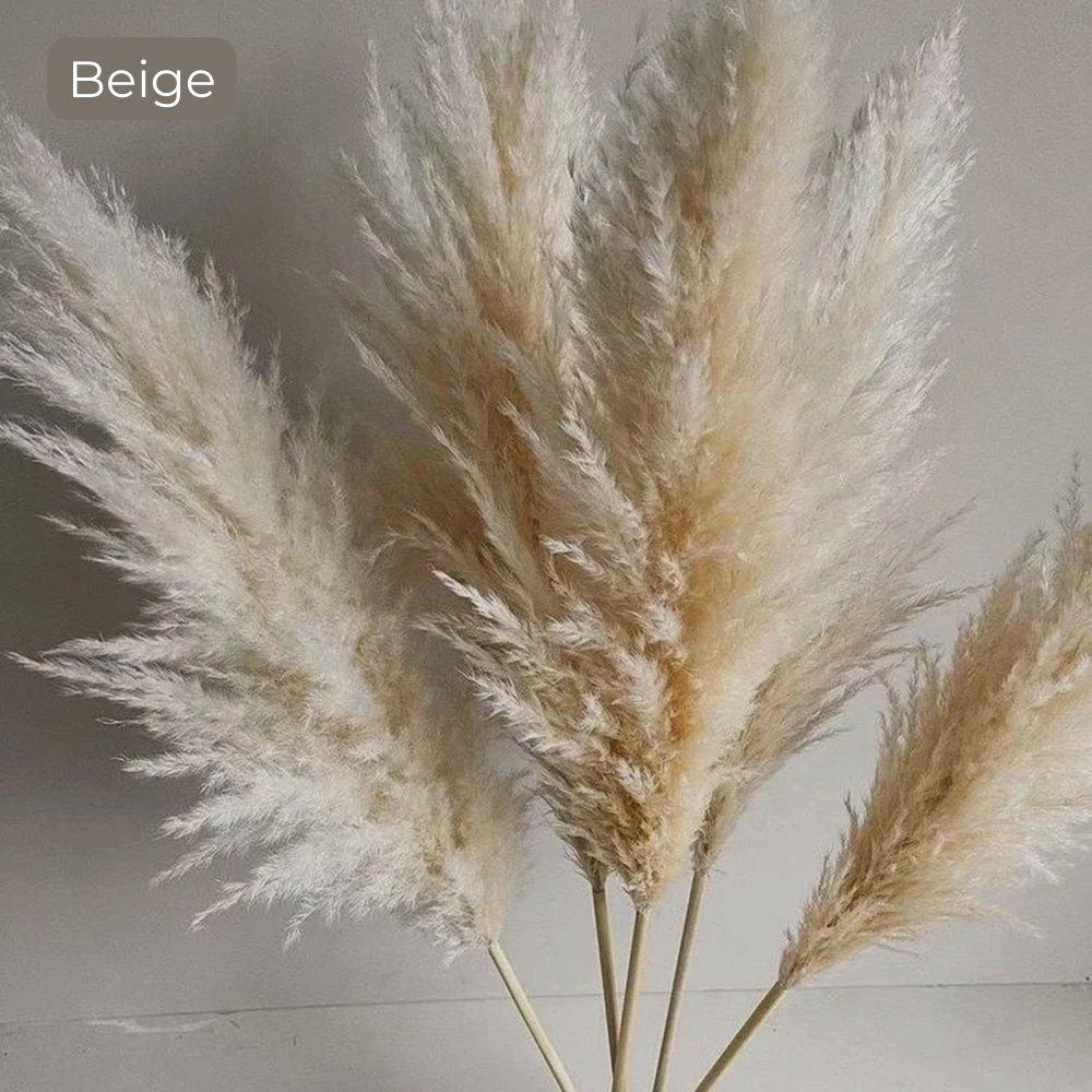 80 cm naturlig, ægte tørret pampasgræs buket (hvid / beige / grå) │ fluffy fjer til moderne boho boligindretning