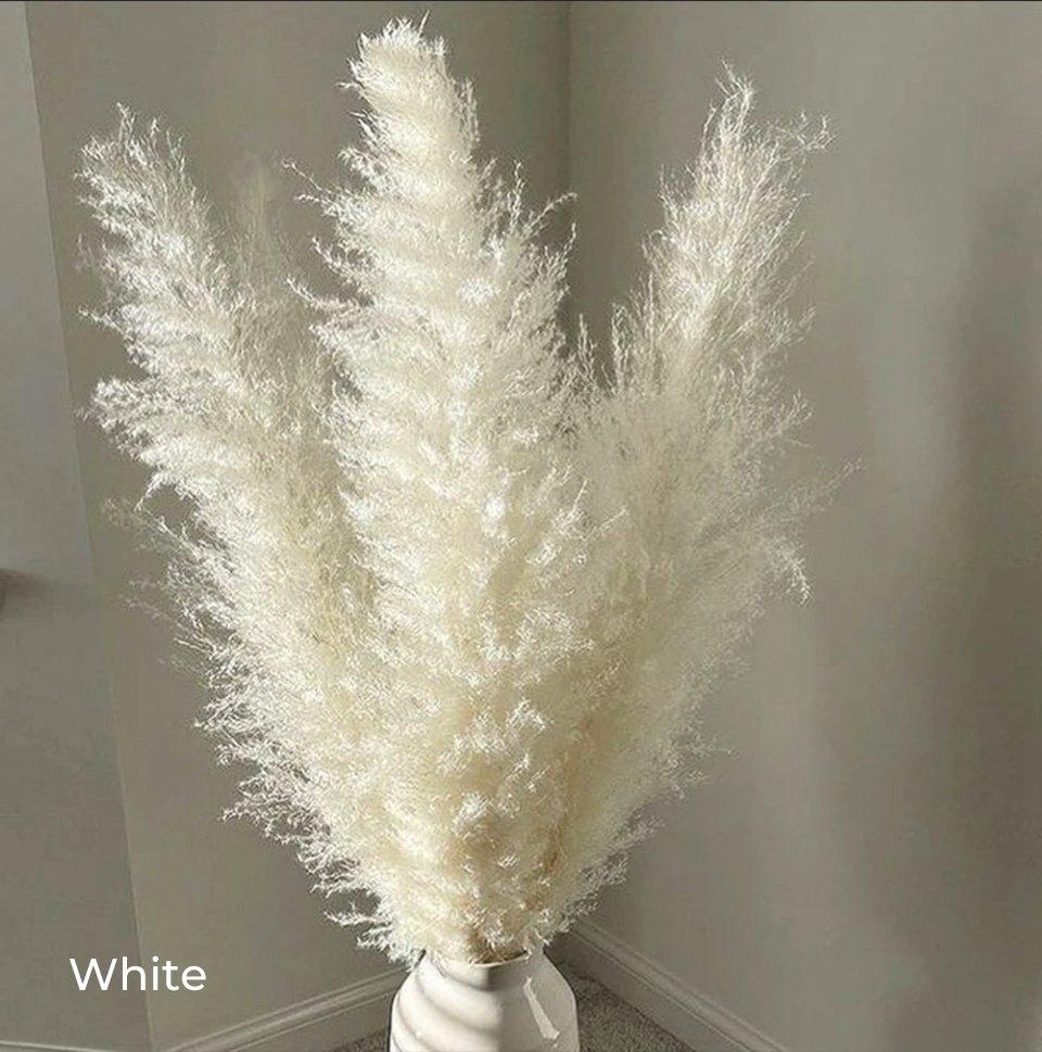 80 cm naturlig, ægte tørret pampasgræs buket (hvid / beige / grå) │ fluffy fjer til moderne boho boligindretning