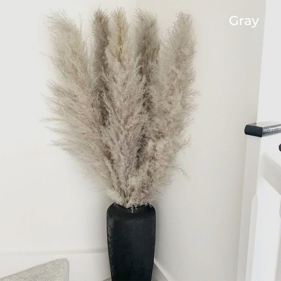 80 cm naturlig, ægte tørret pampasgræs buket (hvid / beige / grå) │ fluffy fjer til moderne boho boligindretning