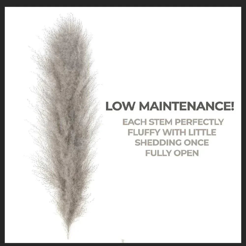 80 cm naturlig, ægte tørret pampasgræs buket (hvid / beige / grå) │ fluffy fjer til moderne boho boligindretning
