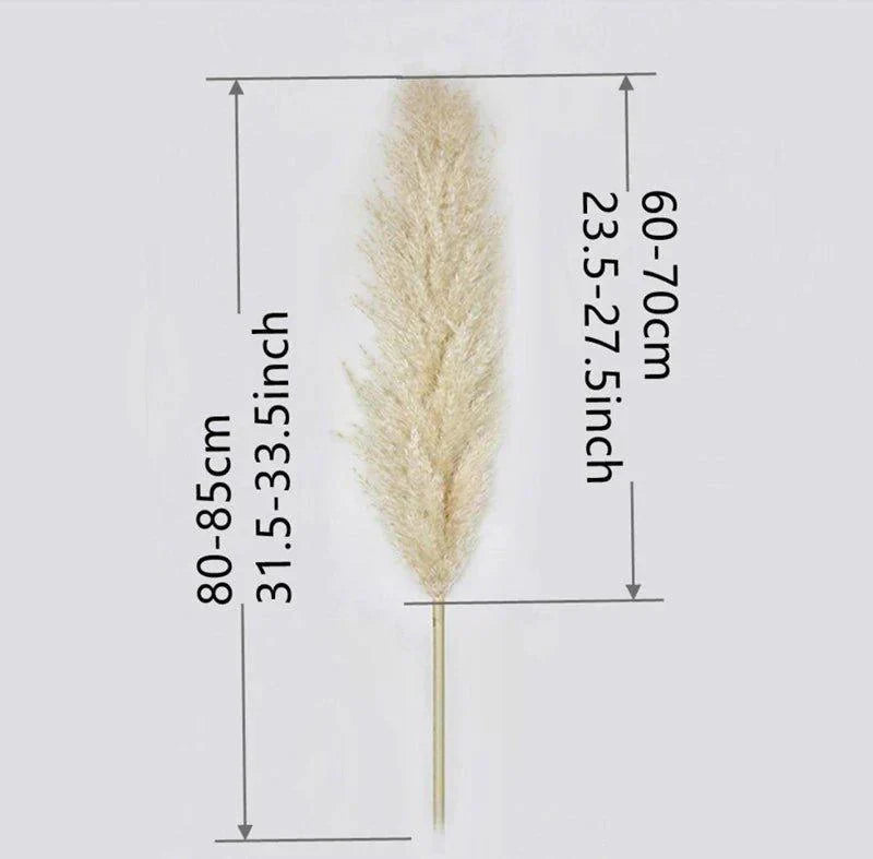 80 cm naturlig, ægte tørret pampasgræs buket (hvid / beige / grå) │ fluffy fjer til moderne boho boligindretning