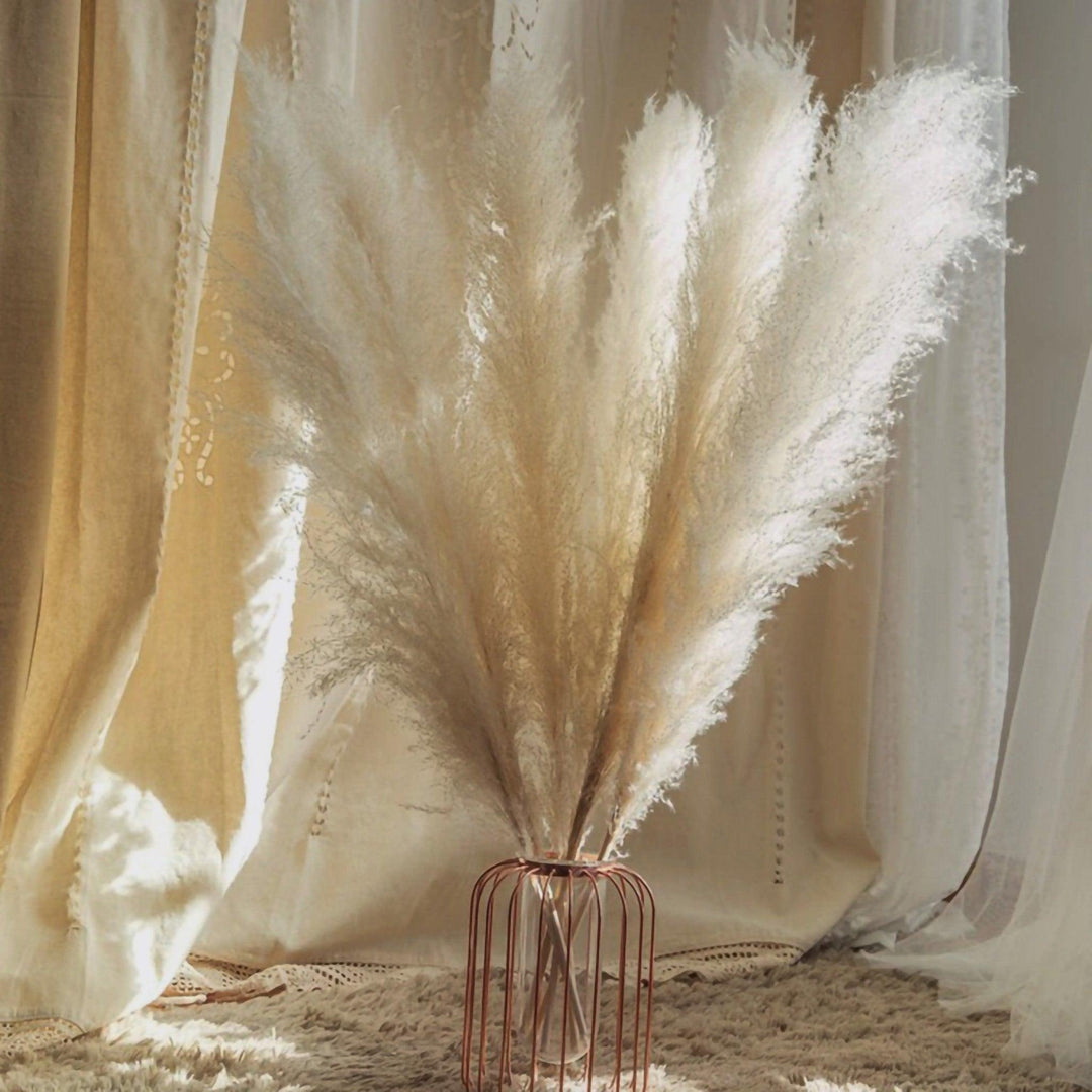 80 cm naturlig, ægte tørret pampasgræs buket (hvid / beige / grå) │ fluffy fjer til moderne boho boligindretning
