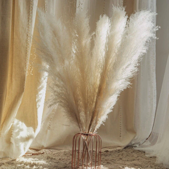 80 cm naturlig, ægte tørret pampasgræs buket (hvid / beige / grå) │ fluffy fjer til moderne boho boligindretning