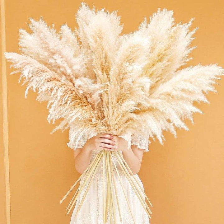 80 cm naturlig, ægte tørret pampasgræs buket (hvid / beige / grå) │ fluffy fjer til moderne boho boligindretning