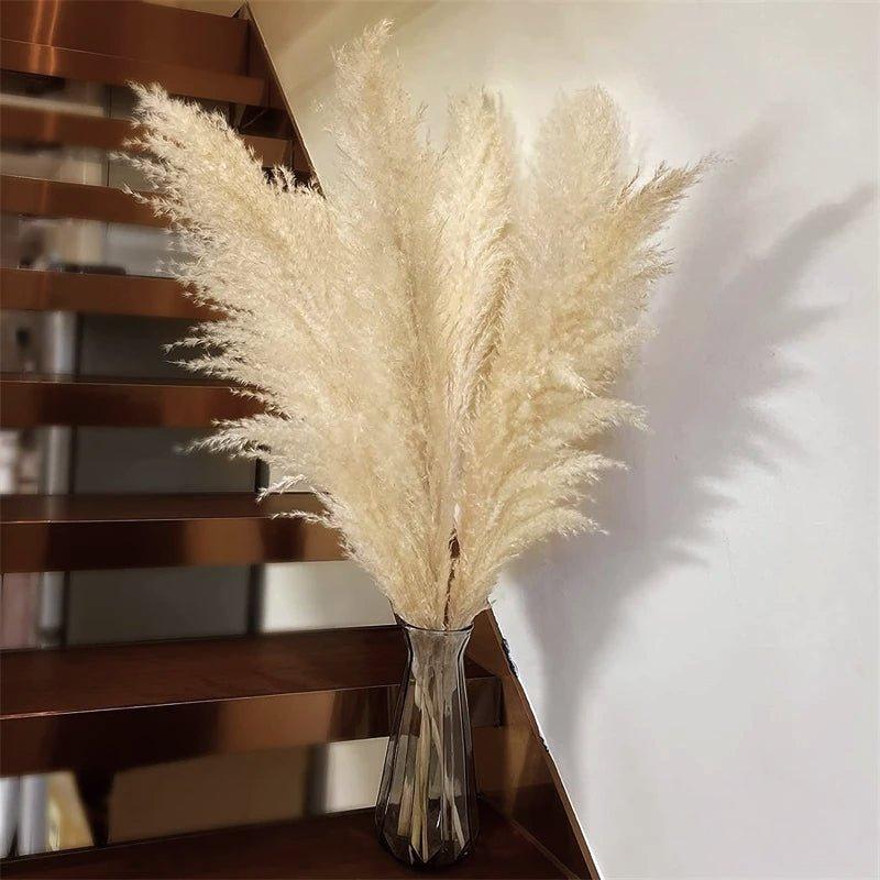 80 cm naturlig, ægte tørret pampasgræs buket (hvid / beige / grå) │ fluffy fjer til moderne boho boligindretning