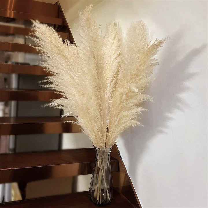 80 cm naturlig, ægte tørret pampasgræs buket (hvid / beige / grå) │ fluffy fjer til moderne boho boligindretning