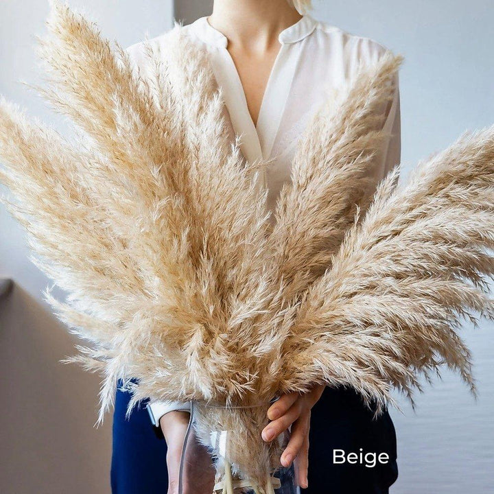 80 cm naturlig, ægte tørret pampasgræs buket (hvid / beige / grå) │ fluffy fjer til moderne boho boligindretning