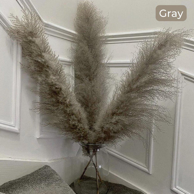 80 cm naturlig, ægte tørret pampasgræs buket (hvid / beige / grå) │ fluffy fjer til moderne boho boligindretning