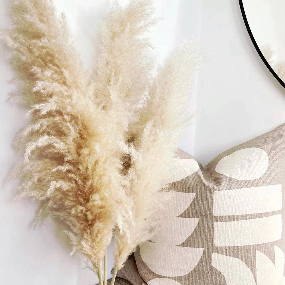 80 cm naturlig, ægte tørret pampasgræs buket (hvid / beige / grå) │ fluffy fjer til moderne boho boligindretning