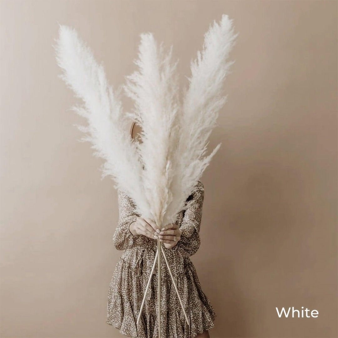 80 cm naturlig, ægte tørret pampasgræs buket (hvid / beige / grå) │ fluffy fjer til moderne boho boligindretning