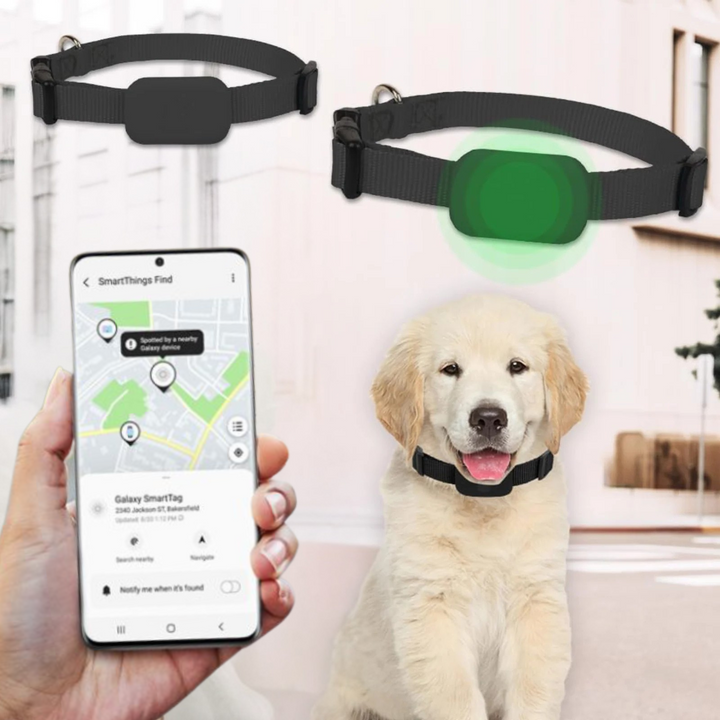 AnimalTracker Mini – Smart hunde- og katte Bluetooth halsbånd tracker