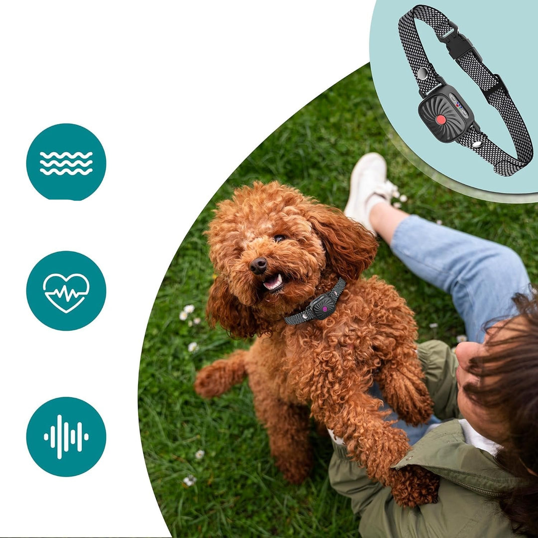 Justerbar Anti-Bark Krave til Hunde | Human, Komfortabel &amp; Effektiv Bark Kontrol Enhed til Små til Store Racer
