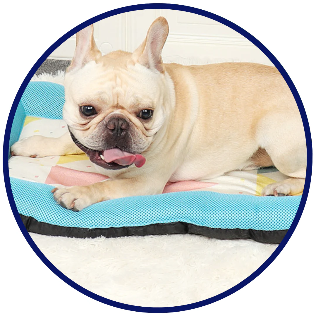 Pet Silk Cooling Mat