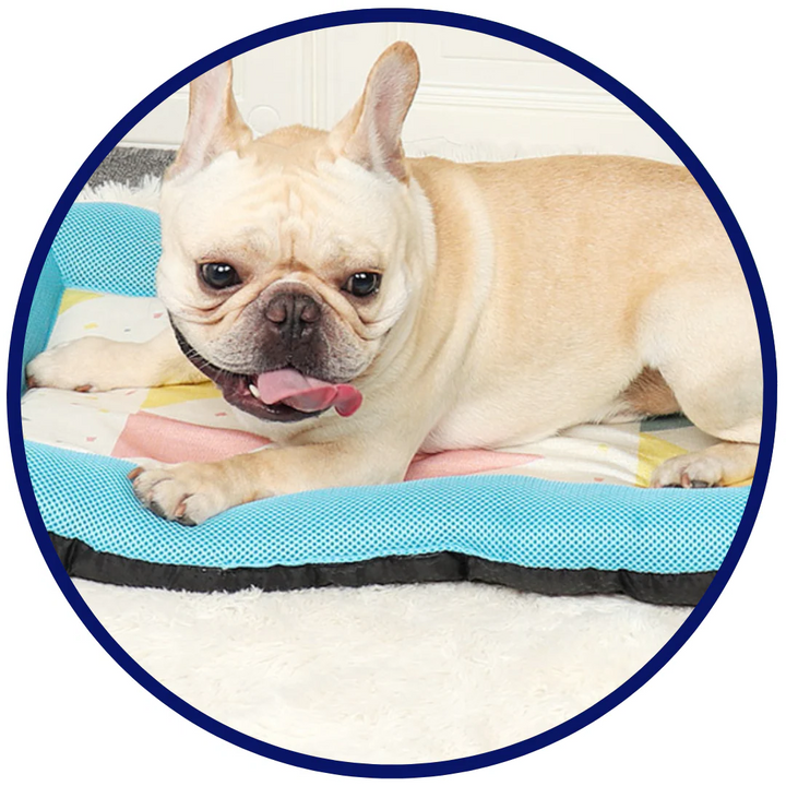 Pet Silk Cooling Mat |