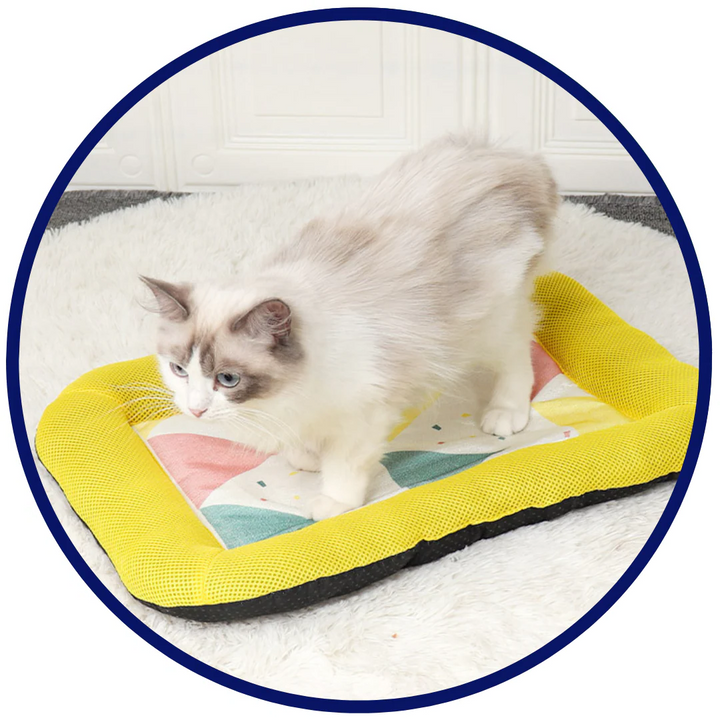Pet Silk Cooling Mat |