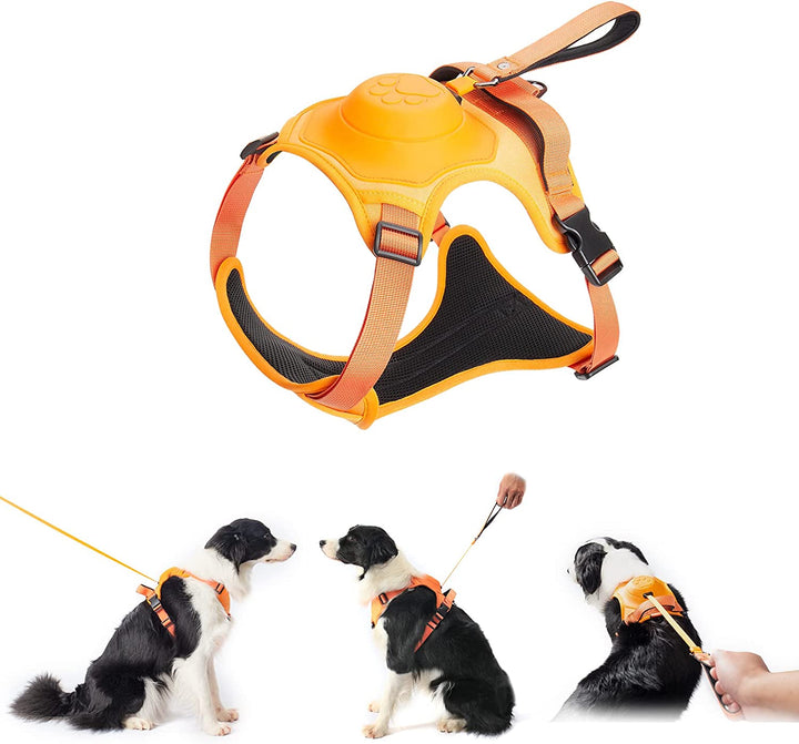 mamymarket™ - Hundesele og Sammenklappelig Snor Sæt Alt-i-Én