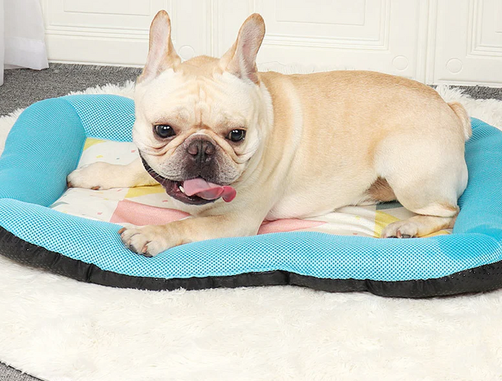 Pet Silk Cooling Mat