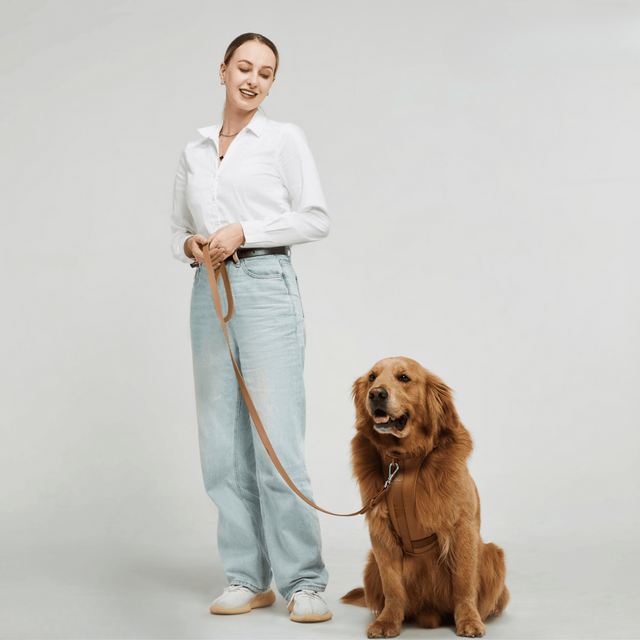 ComfyPaws Hundesele Gå-Sæt med Snor og Affaldsposer Holder