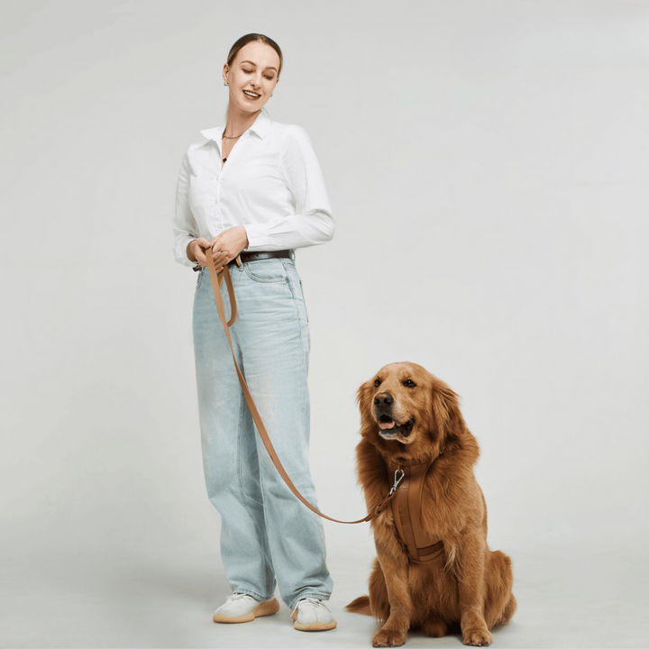 ComfyPaws Hundesele Gå-Sæt med Snor og Affaldsposer Holder
