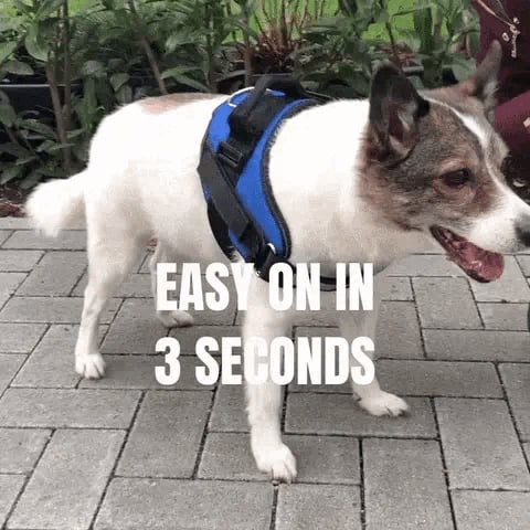 Anti Choke Hundesele