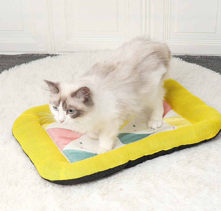 Pet Silk Cooling Mat |