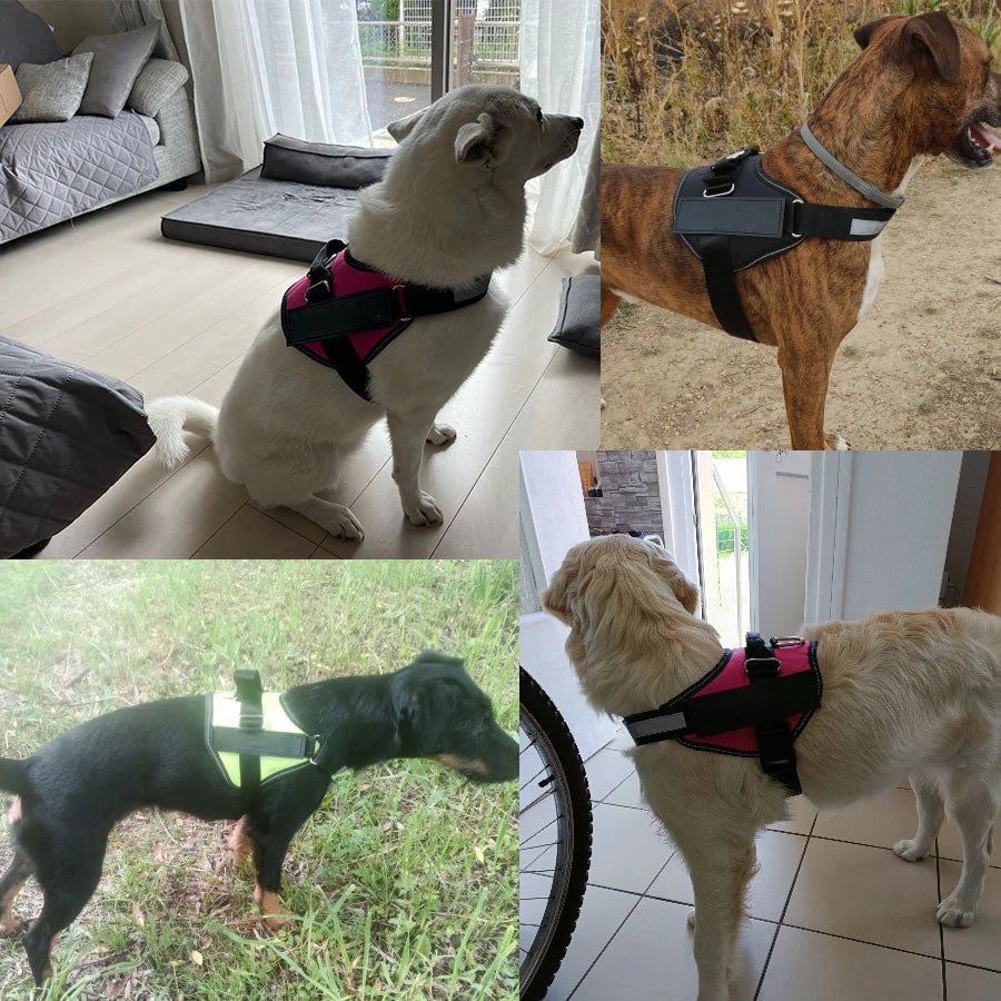 Anti Choke Hundesele