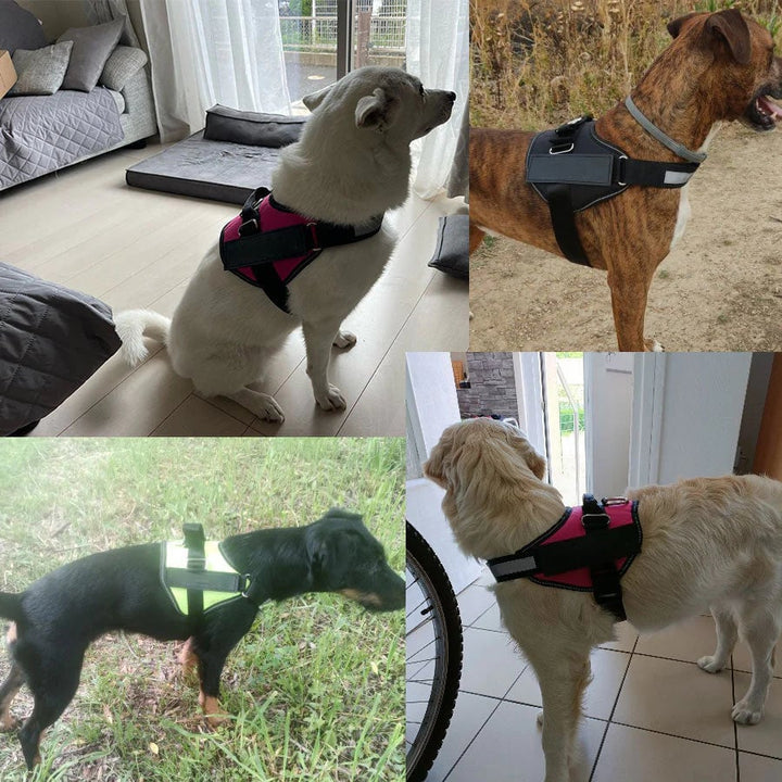 Anti Choke Hundesele
