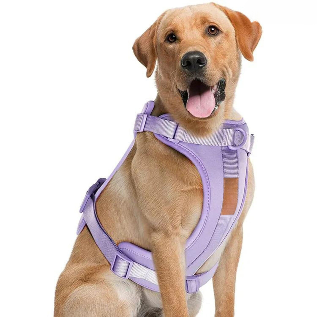ComfyPaws Hundesele Gå-Sæt med Snor og Affaldsposer Holder