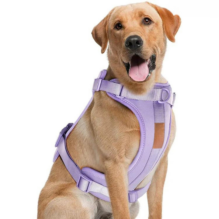 ComfyPaws Hundesele Gå-Sæt med Snor og Affaldsposer Holder