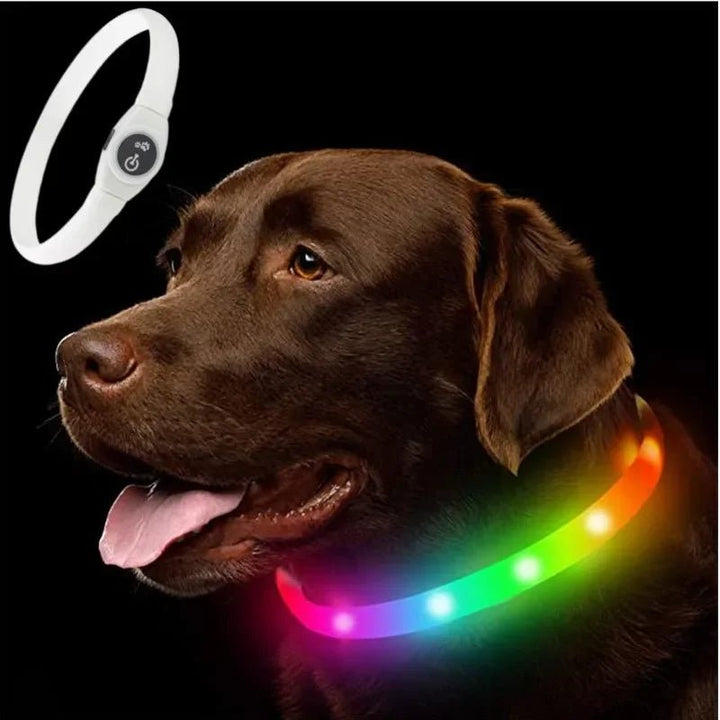 LED Lys Krave til Hunde for Sikker Gåtur om Natten