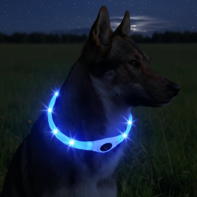 LED Lys Krave til Hunde for Sikker Gåtur om Natten