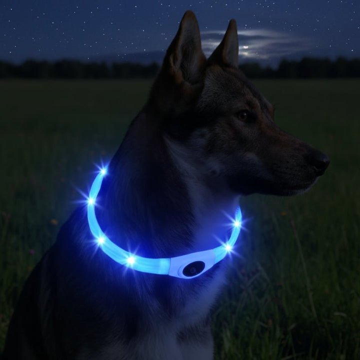 LED Lys Krave til Hunde for Sikker Gåtur om Natten
