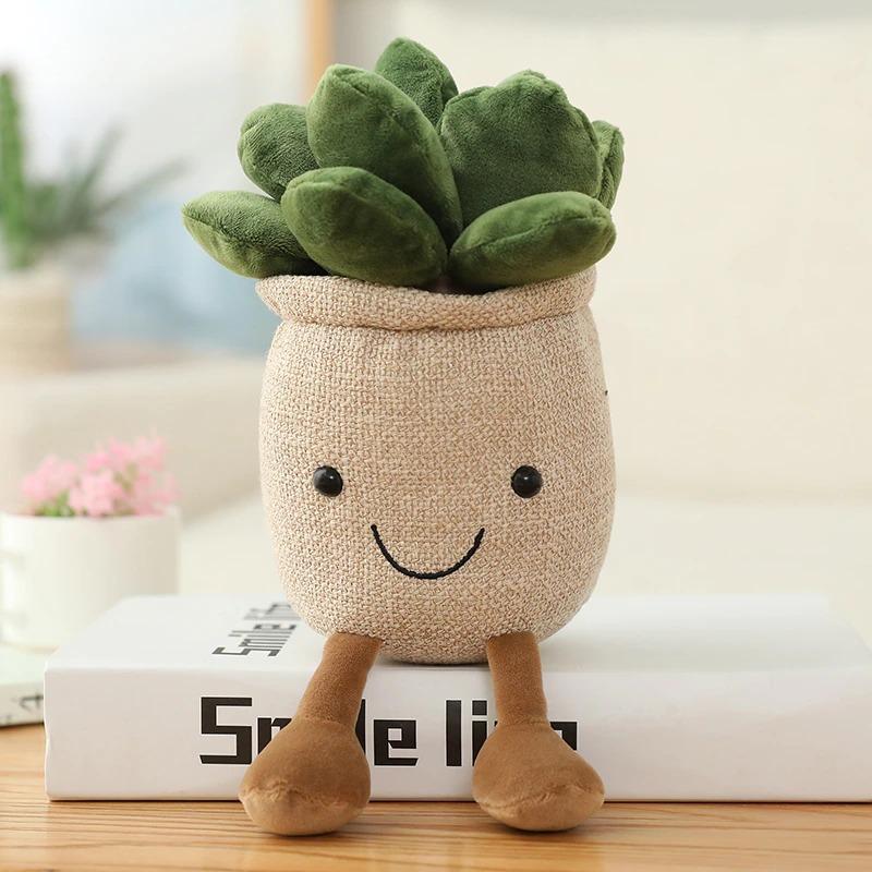 Plante Plyds